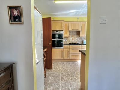 Picture 11